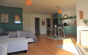 City Heaven New Terrace Apartment